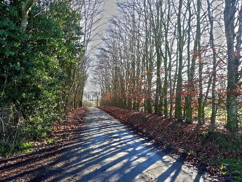 La Grange De David Gite De Standing 5 Ch 5 Sdb - Access-I Hamoir Buitenkant foto
