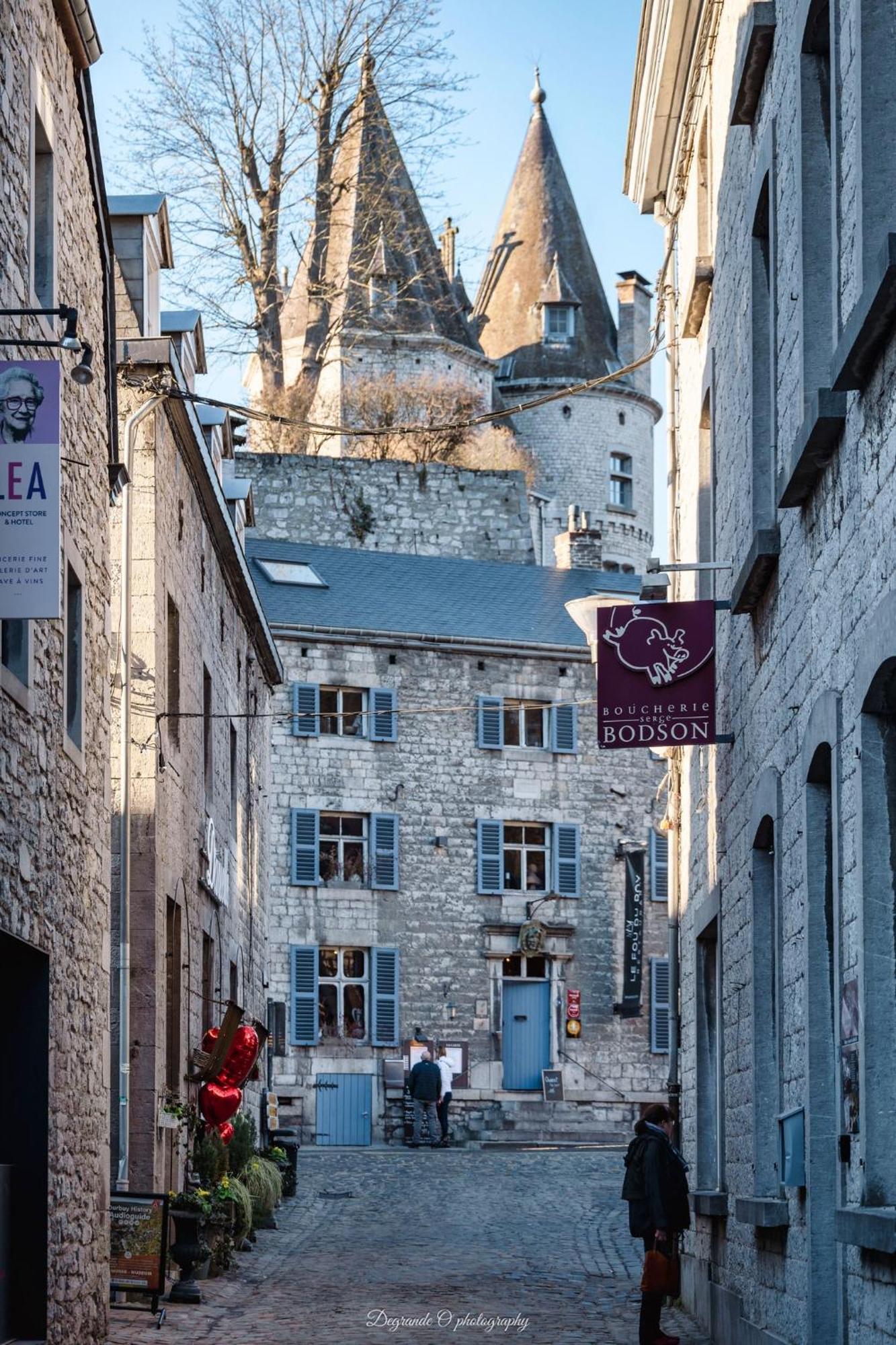 La Grange De David Gite De Standing 5 Ch 5 Sdb - Access-I Hamoir Buitenkant foto